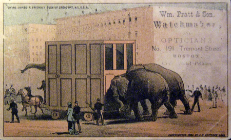 (361 KB) (Click on Picture to View Full Size) picture