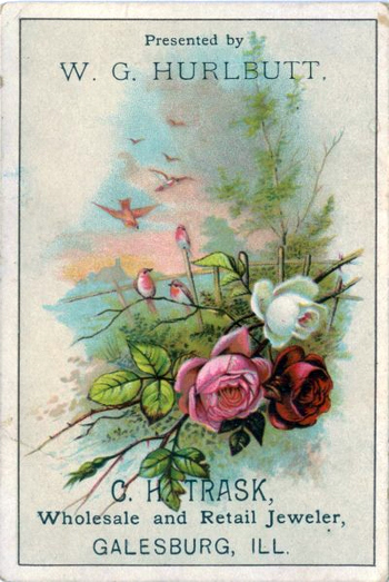 (539 KB) (Click on Picture to View Full Size) picture