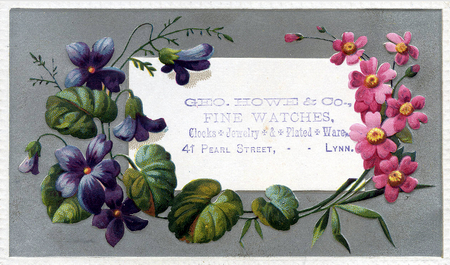 (350 KB) (Click on Picture to View Full Size) picture