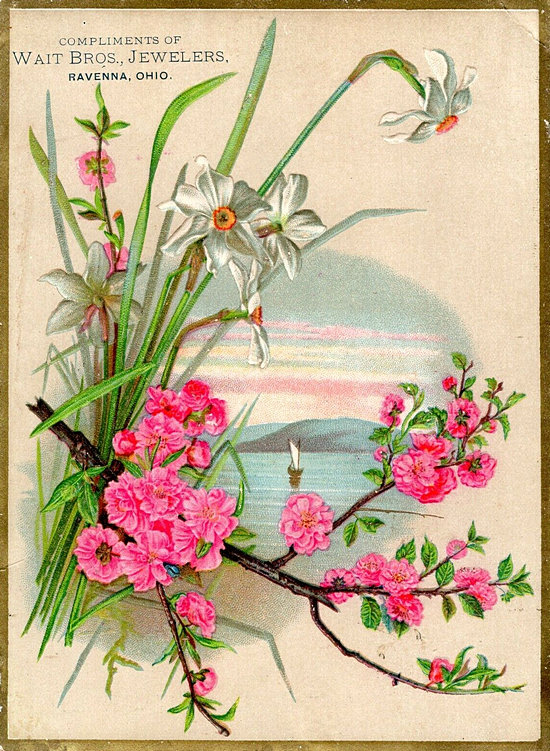 (1214 KB) (Click on Picture to View Full Size) picture