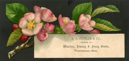(283 KB) (Click on Picture to View Full Size) picture