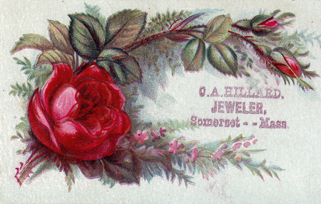 (380 KB) (Click on Picture to View Full Size) picture