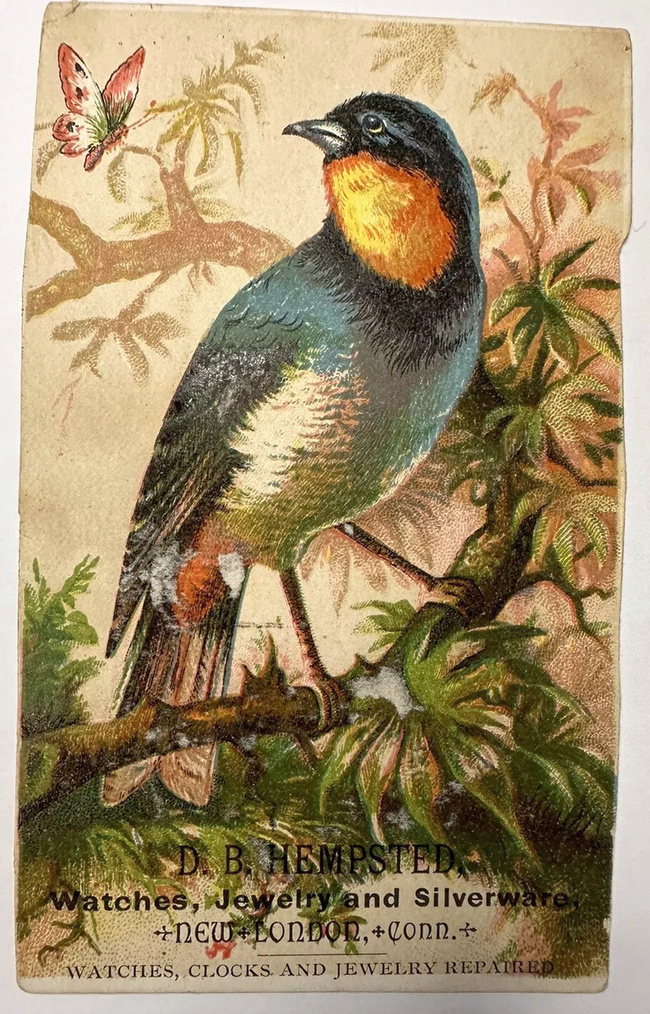 (1936 KB) (Click on Picture to View Full Size) picture